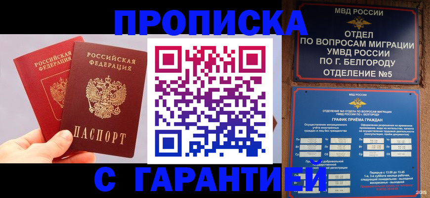 прописка 2025 в Коркино